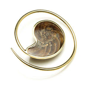 1x Brass Ammonite Ear Weight Spiral - BRASSSPIRAL52