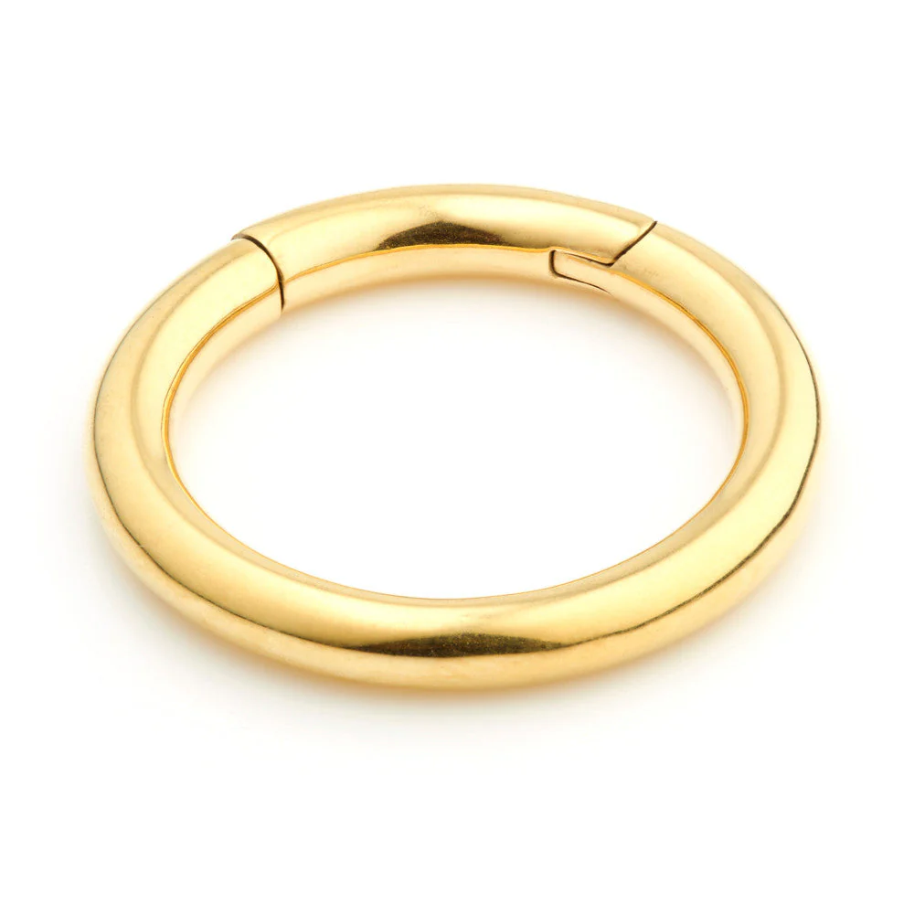 24K Gold PVD Steel Hinge Segment Ring - Image 2
