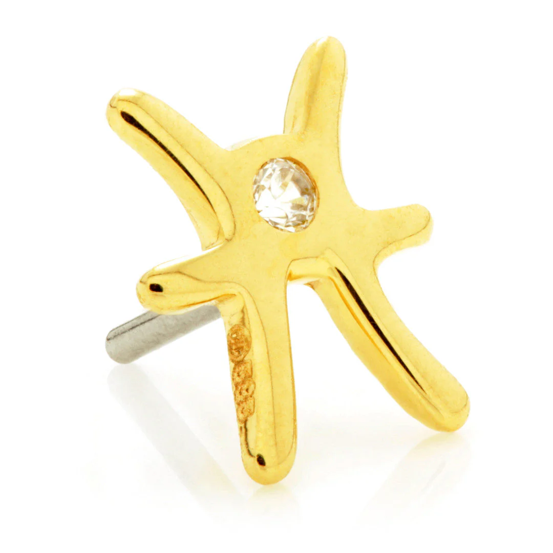 Pisces Threadless Jewelled Zodiac Pin Attachment