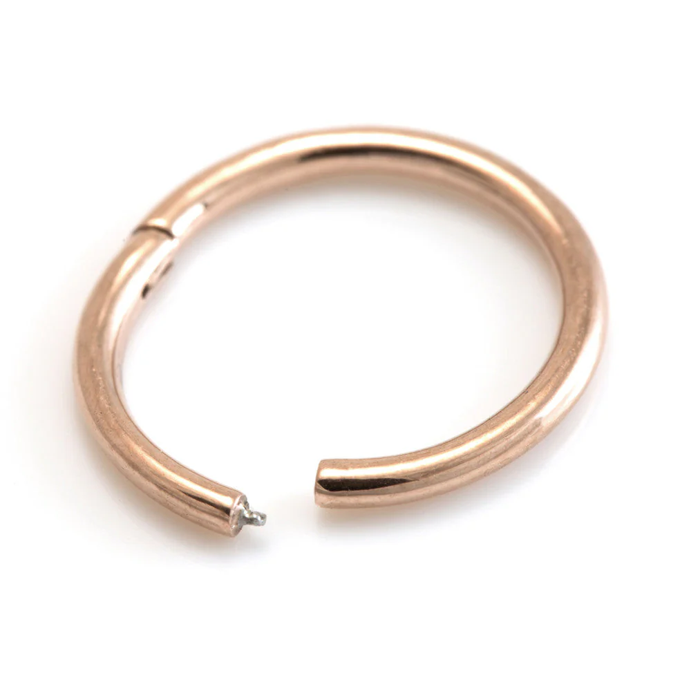 Rose Gold Steel Hinge Micro Segment Ring -1.0-6
