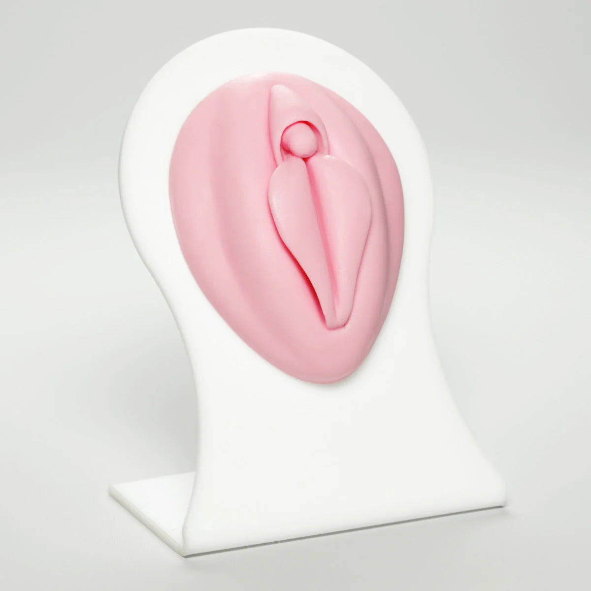 Silicone Body Part - Female Genital - Image 4