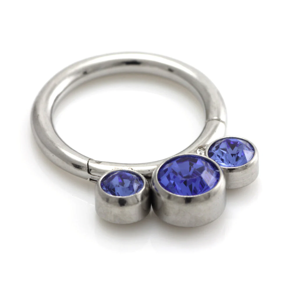 Steel 3 Graduated Jewel Hinged Segment Ring - Image 2
