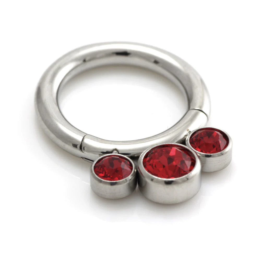 Steel 3 Graduated Jewel Hinged Segment Ring - Image 4