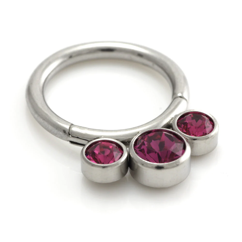 Steel 3 Graduated Jewel Hinged Segment Ring - Image 7