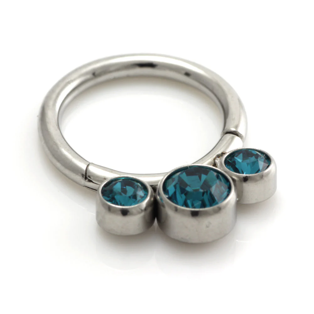 Steel 3 Graduated Jewel Hinged Segment Ring - Image 9