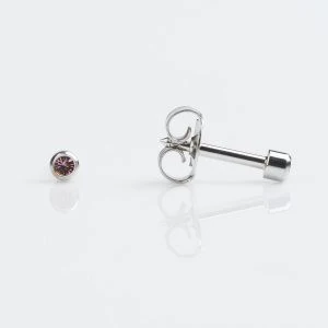 Studex Mini Stainless Bezel June Studs- Pack of 12