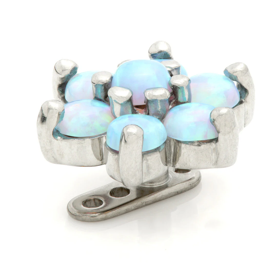 Ti Internal Anchor With Steel Opal Flower (6 Petals)