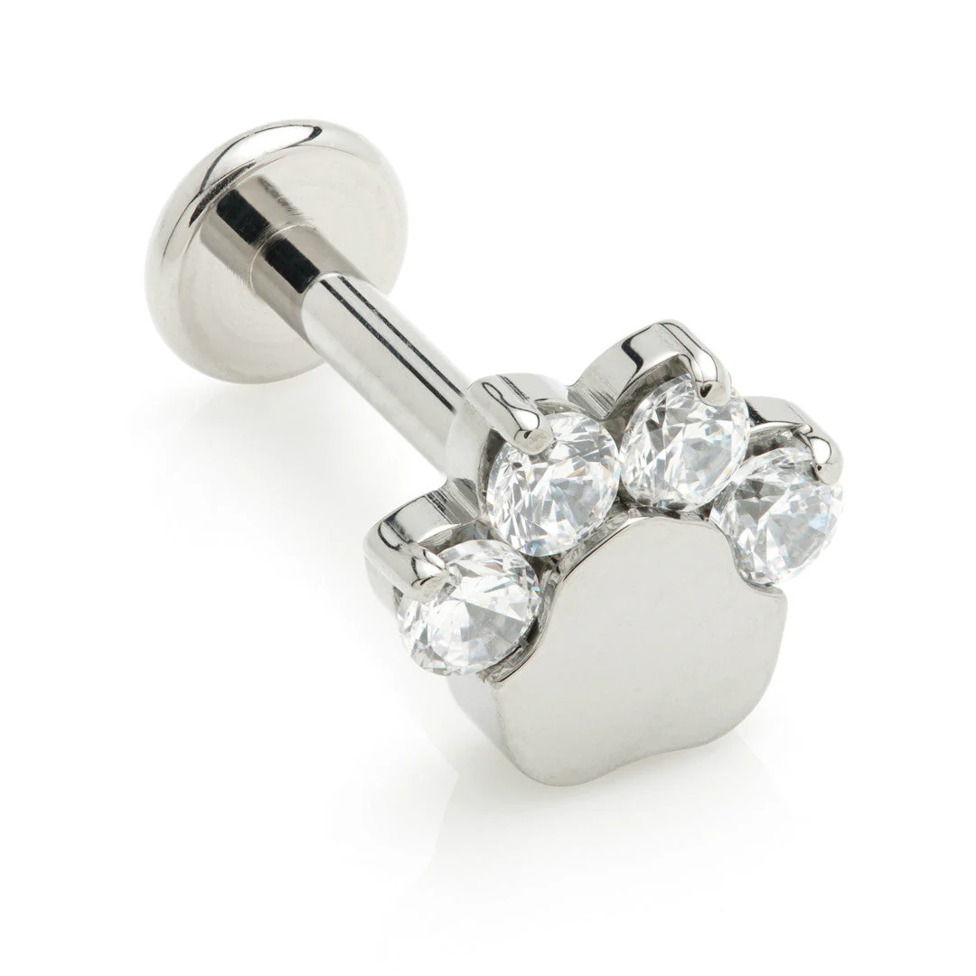 Ti Internal Labret with Gem Paw Attachment