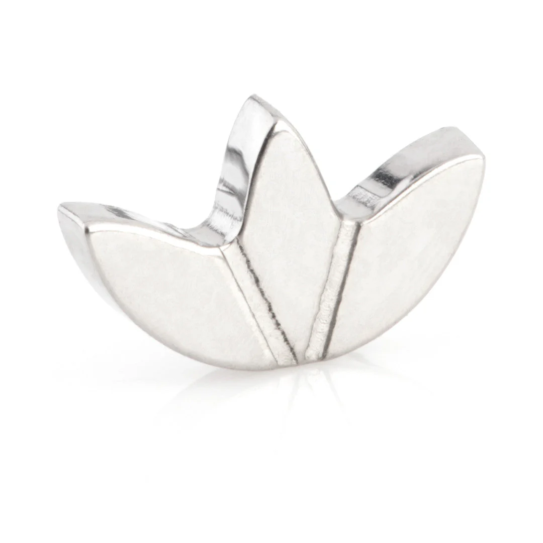 Ti Internal Mini Lotus Attachment