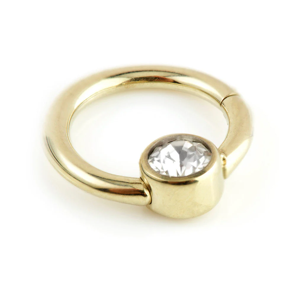 Zircon Gold PVD Ti Hinge Segment Ring with Gem