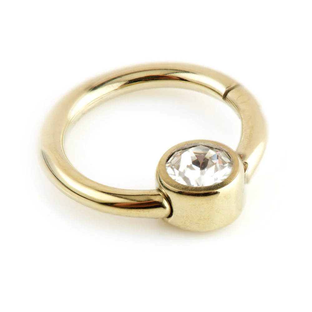 Zircon Gold Steel Hinge Segment Ring with Gem Disk - Image 3